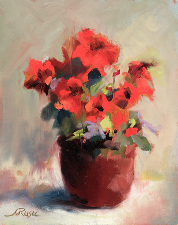 Geraniums